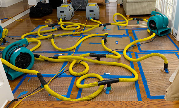 Professional Storm Water Damage Restoration technician working in Chesapeake Beach, MD